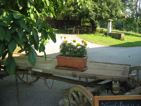 Wagen_Brunnen