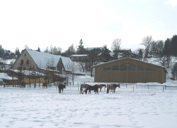 GM-RANCH